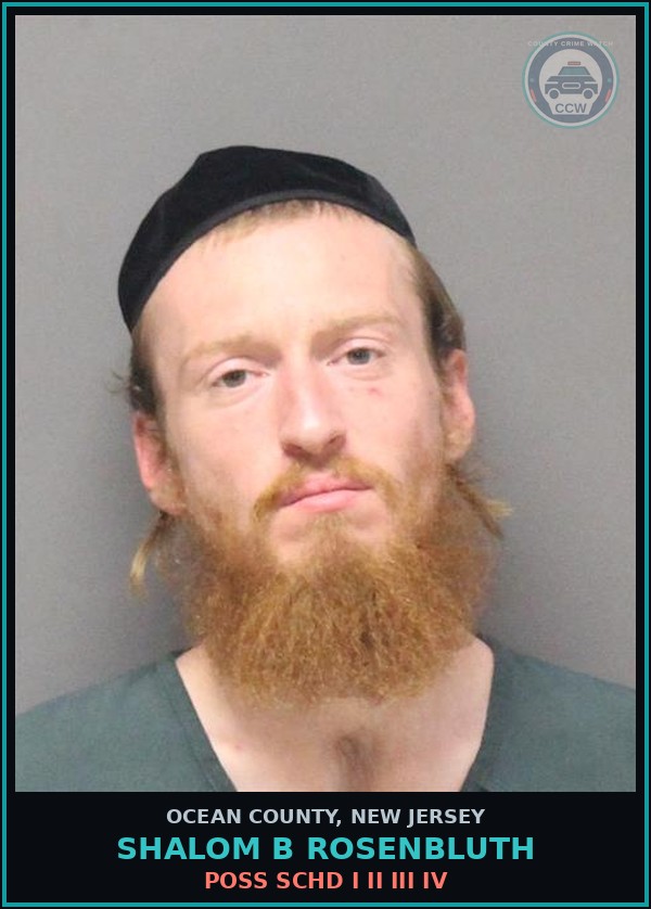 Booking mugshot of SHALOM B ROSENBLUTH in Ocean County