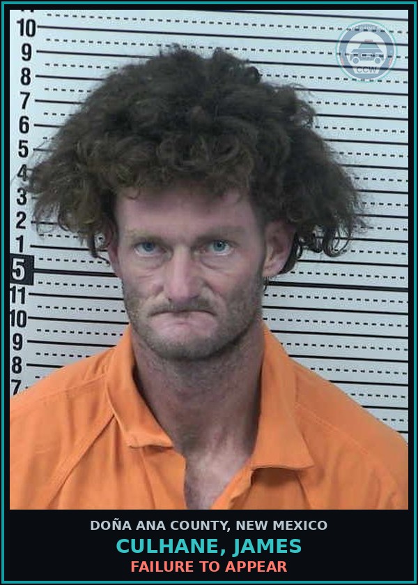 Booking mugshot of Culhane, James in Doña Ana County