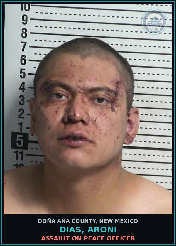 Booking mugshot of Dias, Aroni in Doña Ana County