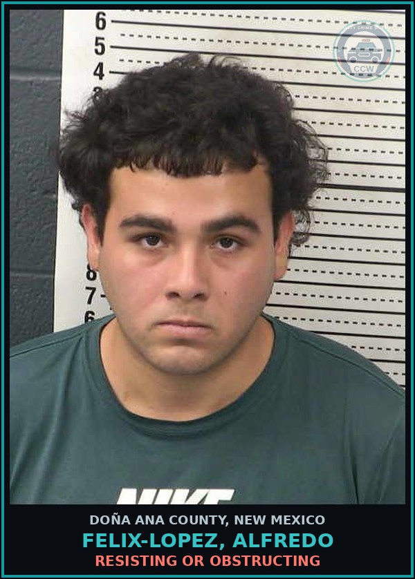 Booking mugshot of Felix-Lopez, Alfredo in Doña Ana County