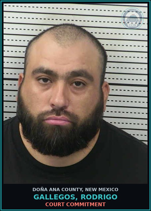Booking mugshot of Gallegos, Rodrigo in Doña Ana County