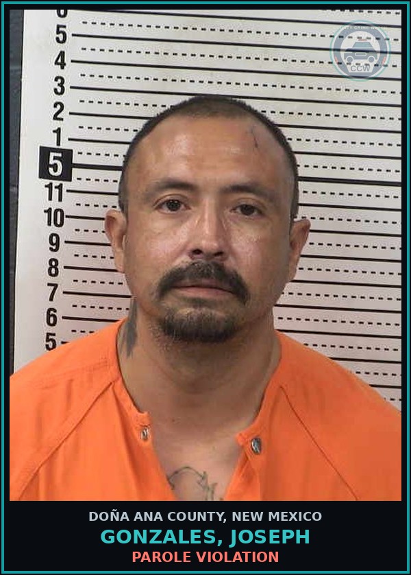 Booking mugshot of Gonzales, Joseph in Doña Ana County