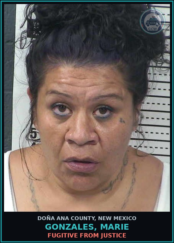 Booking mugshot of Gonzales, Marie in Doña Ana County
