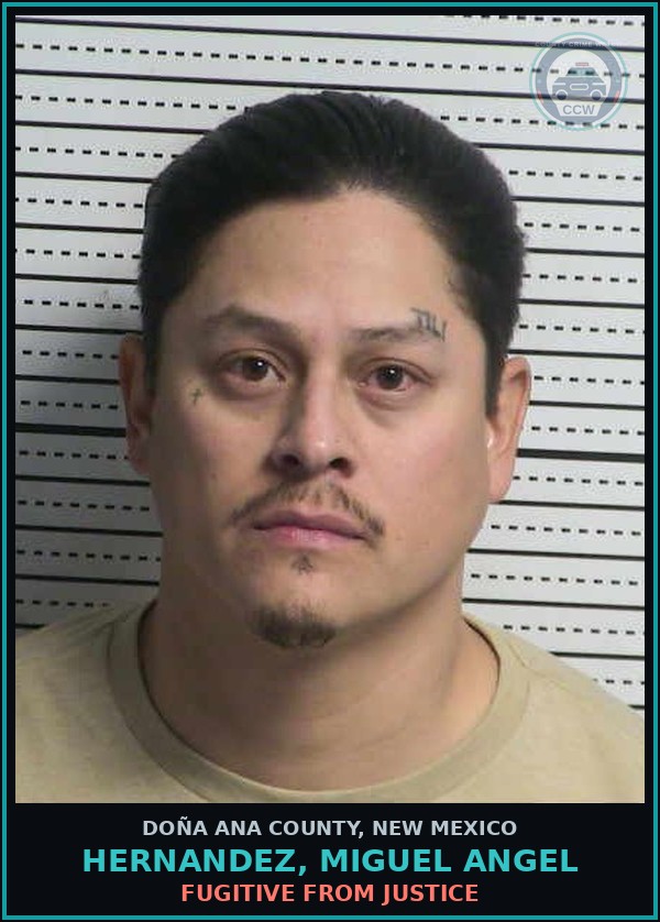 Booking mugshot of Hernandez, Miguel Angel in Doña Ana County