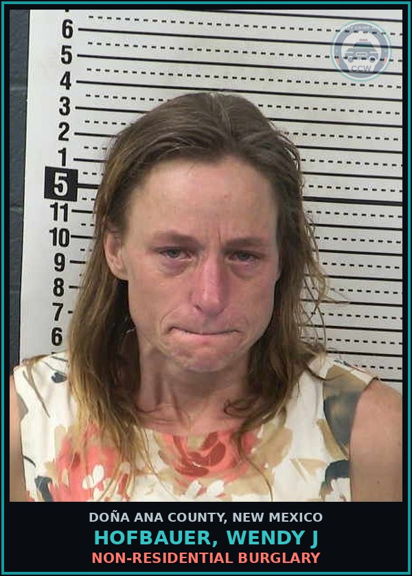 Booking mugshot of Hofbauer, Wendy J in Doña Ana County