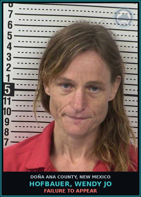 Booking mugshot of Hofbauer, Wendy Jo in Doña Ana County