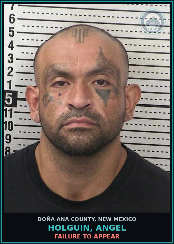 Booking mugshot of Holguin, Angel in Doña Ana County
