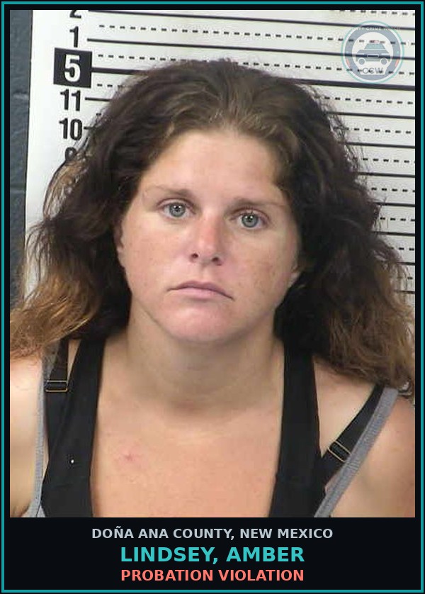 Booking mugshot of Lindsey, Amber in Doña Ana County