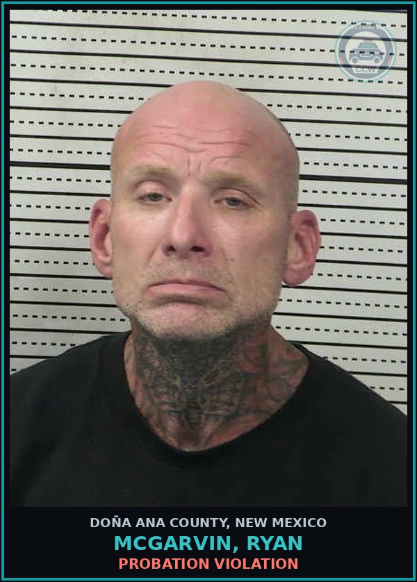 Booking mugshot of Mcgarvin, Ryan in Doña Ana County