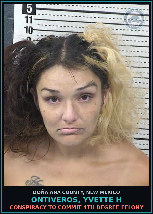 Booking mugshot of Ontiveros, Yvette H in Doña Ana County