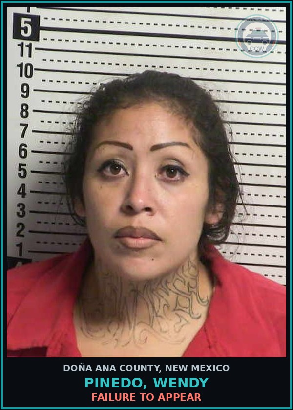 Booking mugshot of Pinedo, Wendy in Doña Ana County