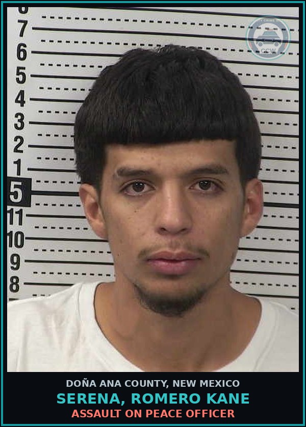 Booking mugshot of Serena, Romero Kane in Doña Ana County