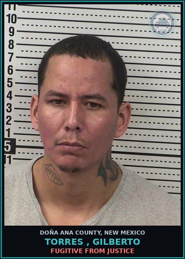 Booking mugshot of Torres , Gilberto in Doña Ana County