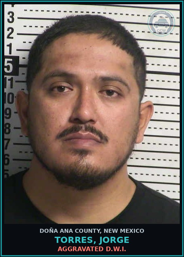 Booking mugshot of Torres, Jorge in Doña Ana County