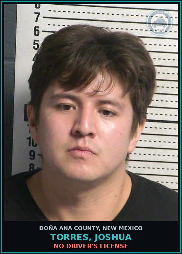Booking mugshot of Torres, Joshua in Doña Ana County
