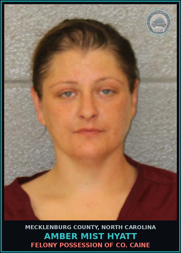 Booking mugshot of AMBER MIST HYATT in Mecklenburg County