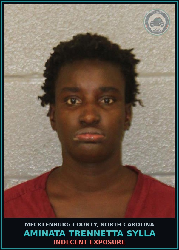 Booking mugshot of AMINATA TRENNETTA SYLLA in Mecklenburg County