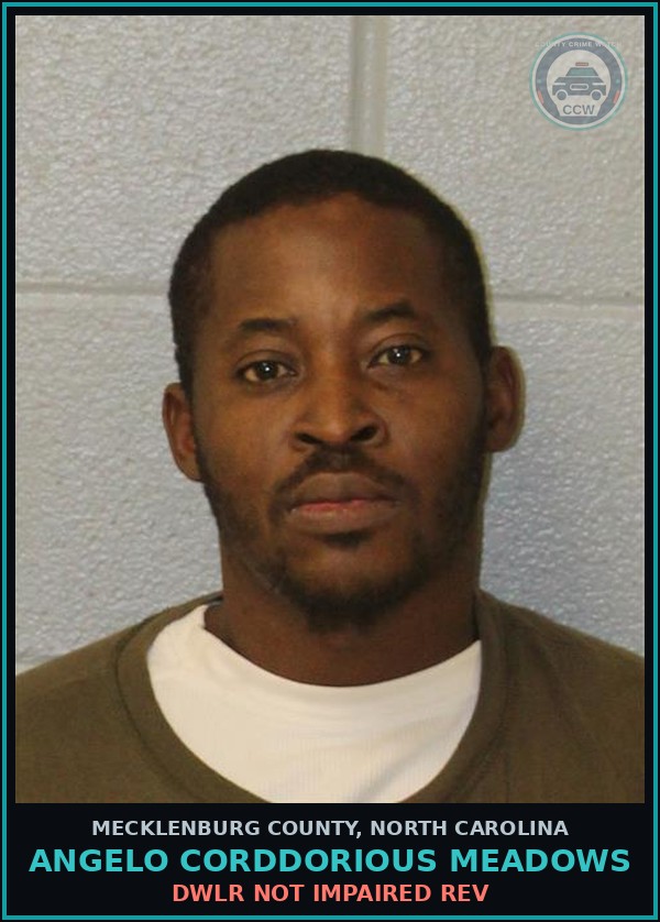 Booking mugshot of ANGELO CORDDORIOUS MEADOWS in Mecklenburg County