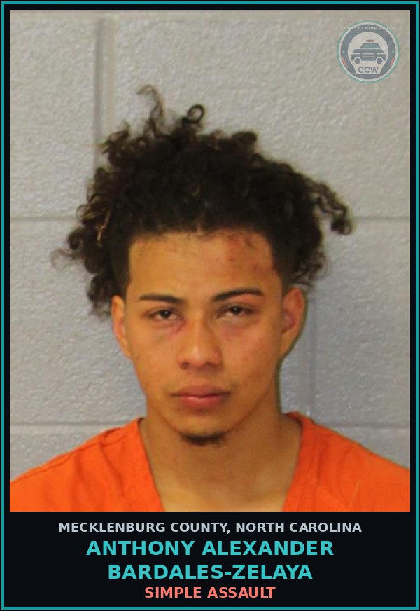 Booking mugshot of ANTHONY ALEXANDER BARDALES-ZELAYA in Mecklenburg County