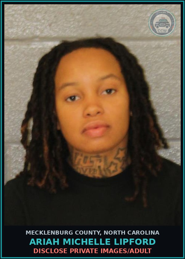 Booking mugshot of ARIAH MICHELLE LIPFORD in Mecklenburg County