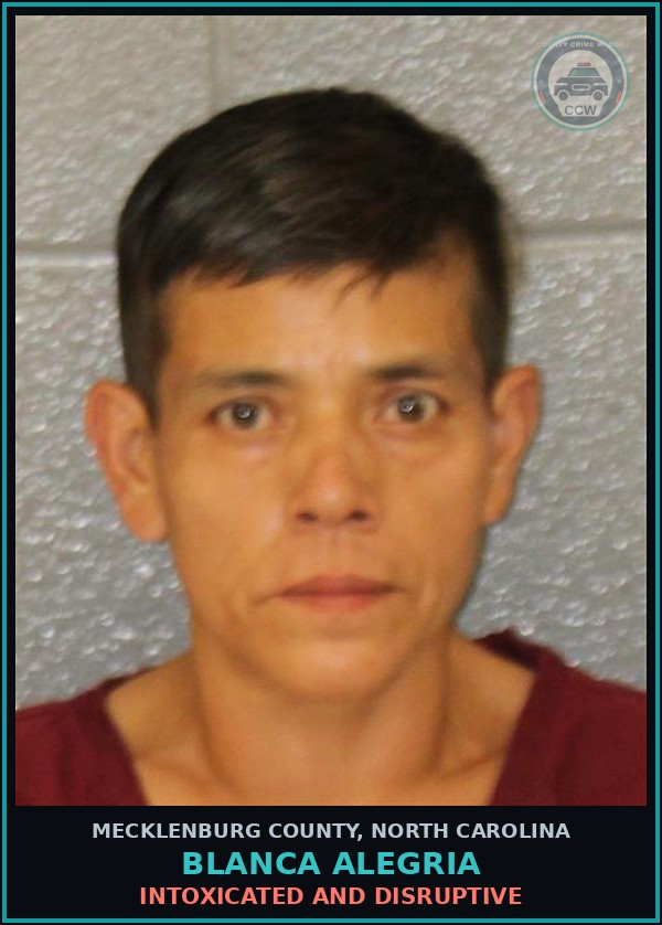 Booking mugshot of BLANCA ALEGRIA in Mecklenburg County