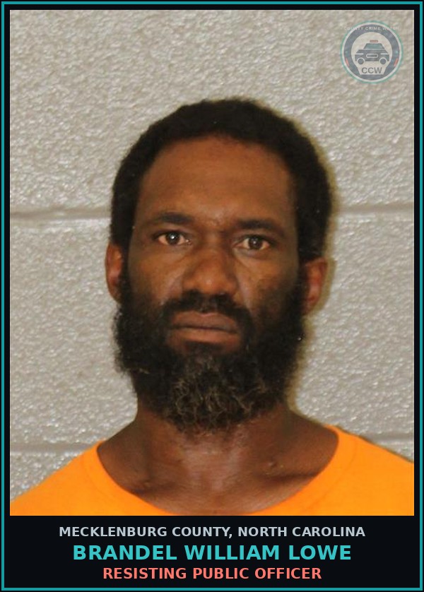 Booking mugshot of BRANDEL WILLIAM LOWE in Mecklenburg County
