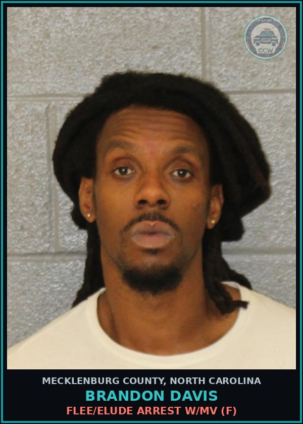 Booking mugshot of BRANDON DAVIS in Mecklenburg County