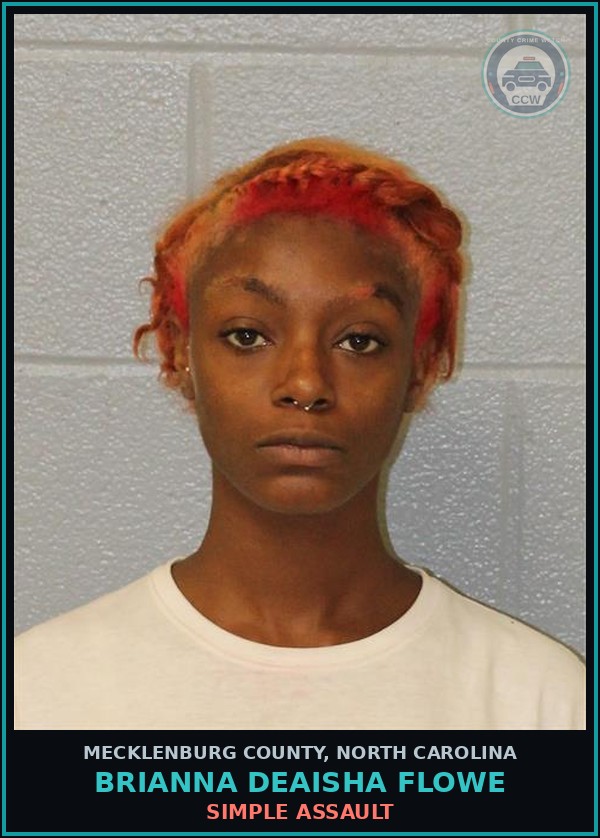 Booking mugshot of BRIANNA DEAISHA FLOWE in Mecklenburg County