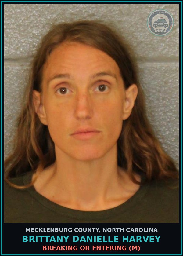 Booking mugshot of BRITTANY DANIELLE HARVEY in Mecklenburg County