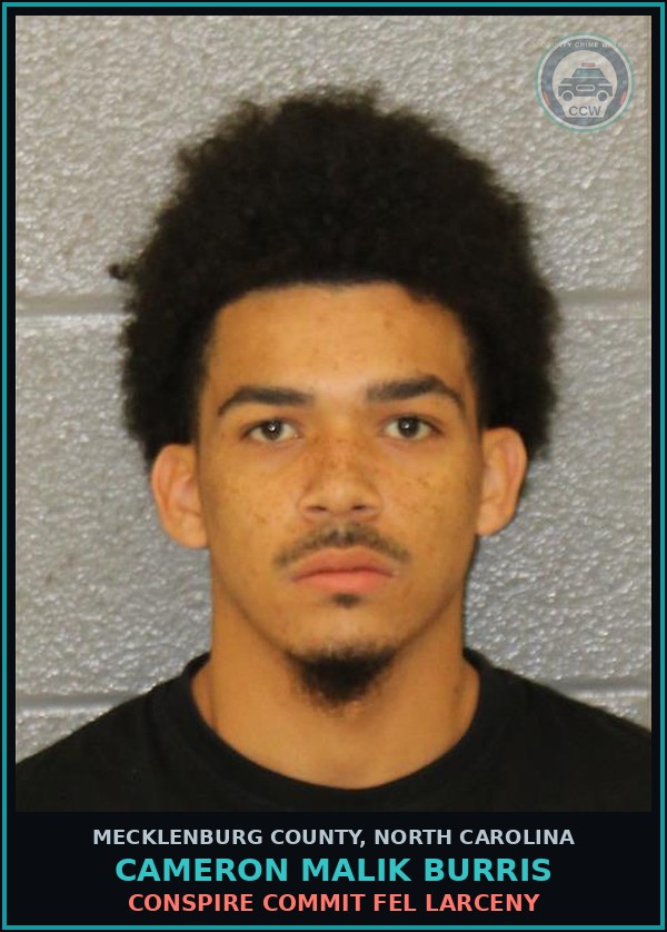 Booking mugshot of CAMERON MALIK BURRIS in Mecklenburg County