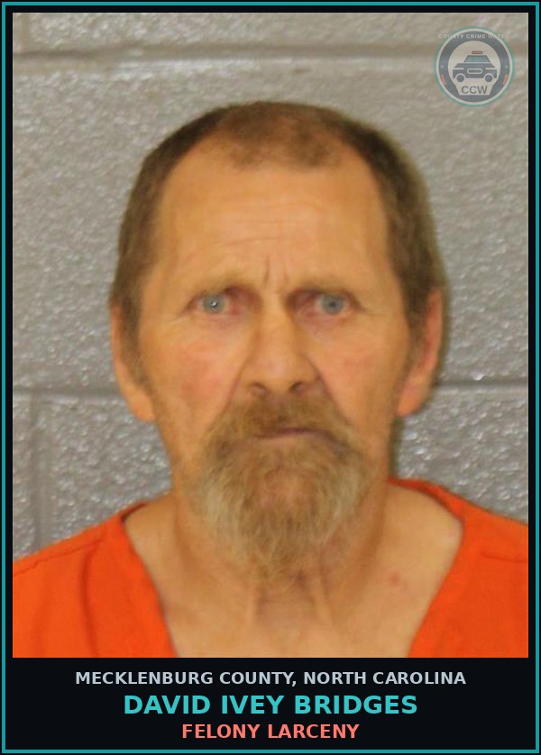 Booking mugshot of DAVID IVEY BRIDGES in Mecklenburg County