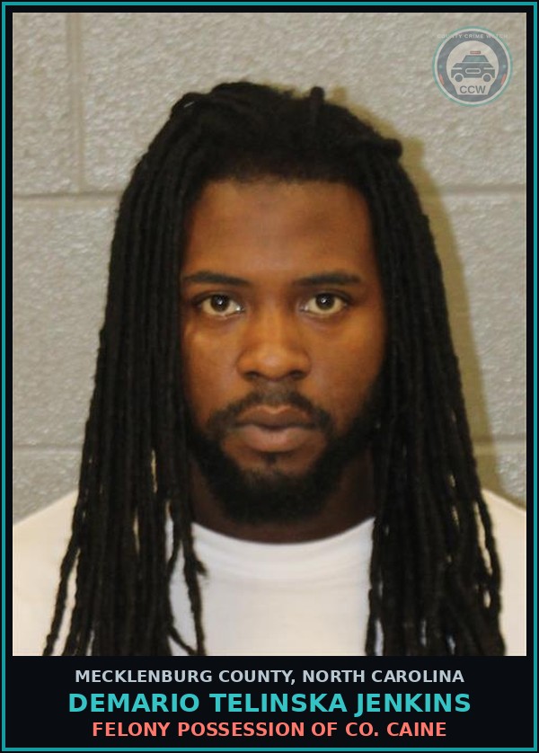 Booking mugshot of DEMARIO TELINSKA JENKINS in Mecklenburg County
