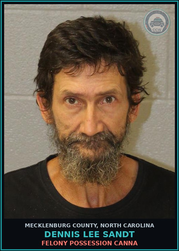 Booking mugshot of DENNIS LEE SANDT in Mecklenburg County