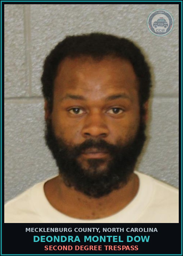 Booking mugshot of DEONDRA MONTEL DOW in Mecklenburg County