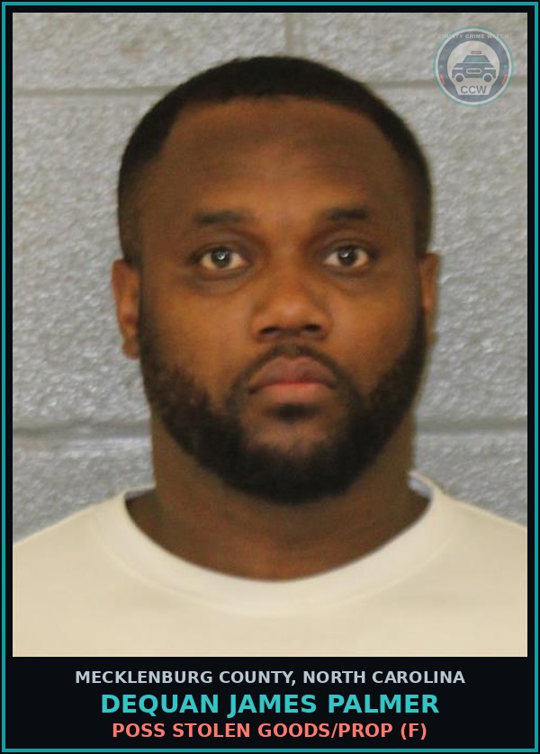 Booking mugshot of DEQUAN JAMES PALMER in Mecklenburg County