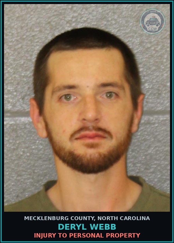 Booking mugshot of DERYL WEBB in Mecklenburg County