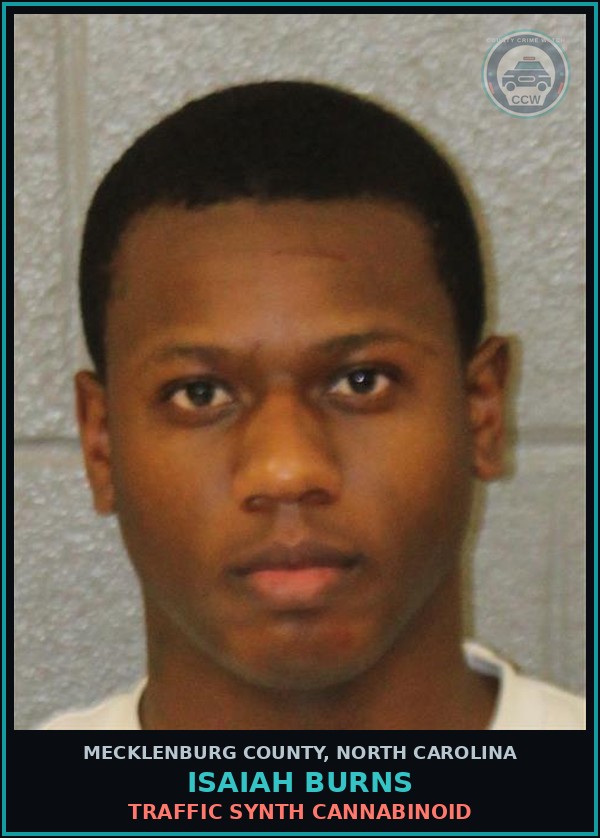 Booking mugshot of ISAIAH BURNS in Mecklenburg County