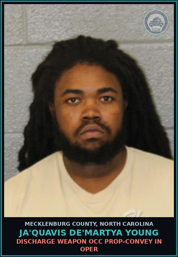 Booking mugshot of JA'QUAVIS DE'MARTYA YOUNG in Mecklenburg County