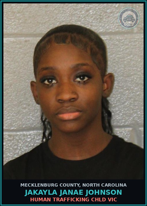Booking mugshot of JAKAYLA JANAE JOHNSON in Mecklenburg County