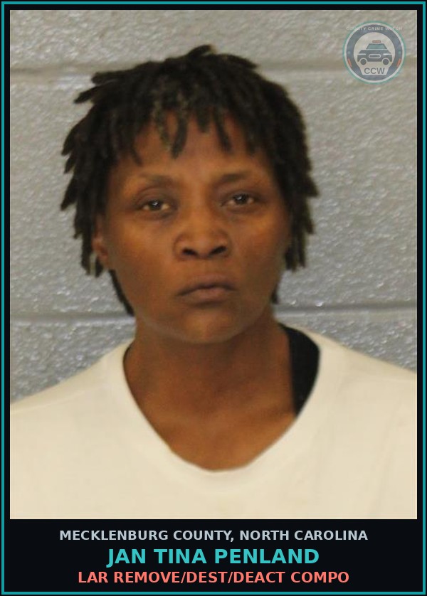 Booking mugshot of JAN TINA PENLAND in Mecklenburg County