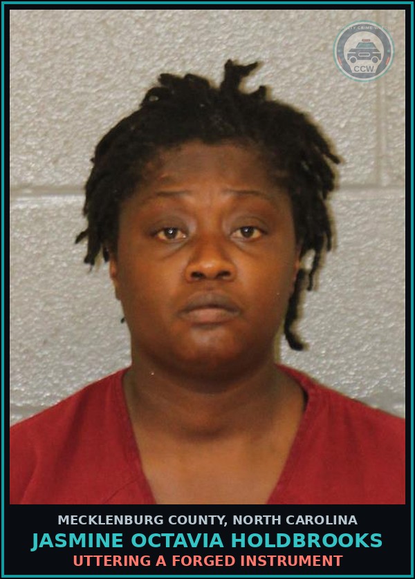 Booking mugshot of JASMINE OCTAVIA HOLDBROOKS in Mecklenburg County