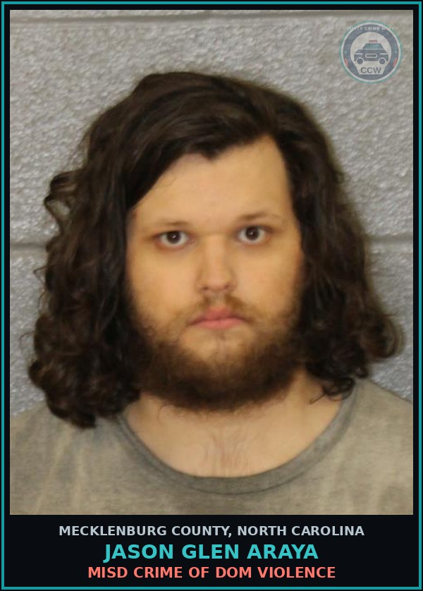 Booking mugshot of JASON GLEN ARAYA in Mecklenburg County