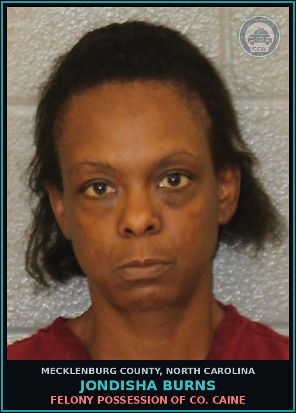 Booking mugshot of JONDISHA BURNS in Mecklenburg County