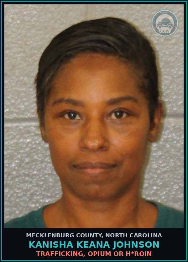 Booking mugshot of KANISHA KEANA JOHNSON in Mecklenburg County