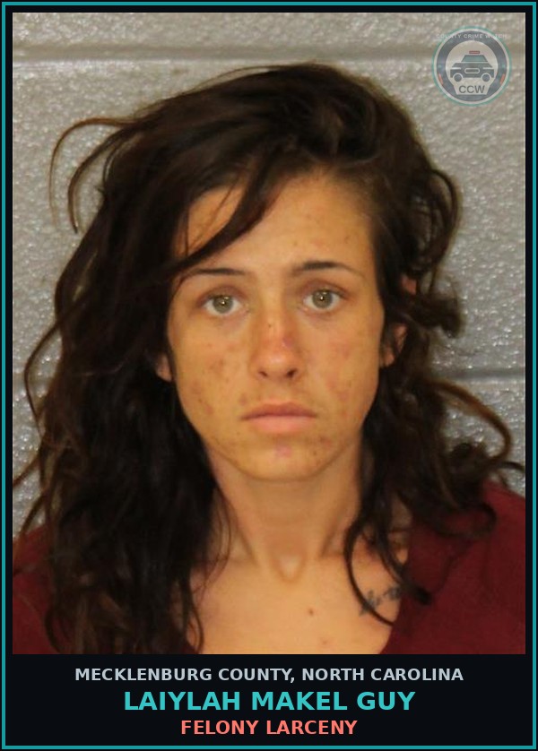 Booking mugshot of LAIYLAH MAKEL GUY in Mecklenburg County