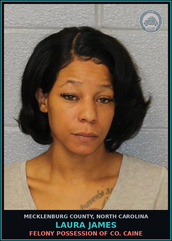 Booking mugshot of LAURA JAMES in Mecklenburg County