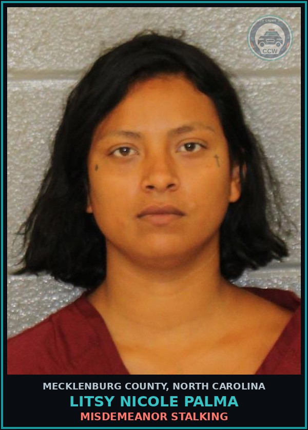 Booking mugshot of LITSY NICOLE PALMA in Mecklenburg County