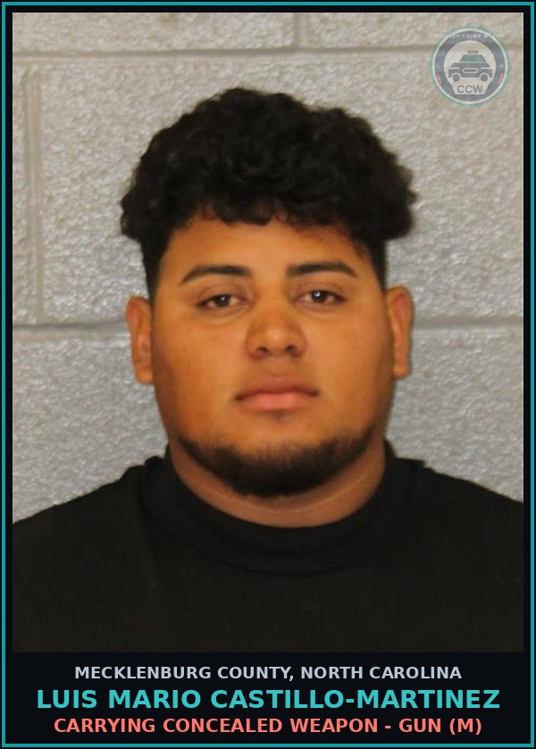 Booking mugshot of LUIS MARIO CASTILLO-MARTINEZ in Mecklenburg County