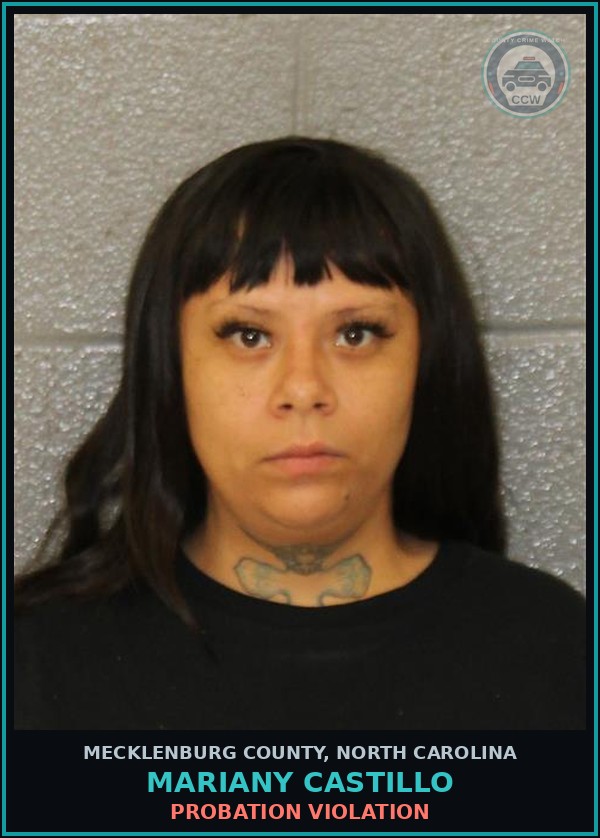 Booking mugshot of MARIANY CASTILLO in Mecklenburg County