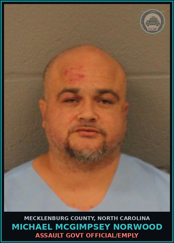 Booking mugshot of MICHAEL MCGIMPSEY NORWOOD in Mecklenburg County